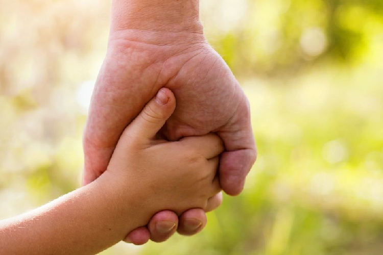 adoption attorney houston