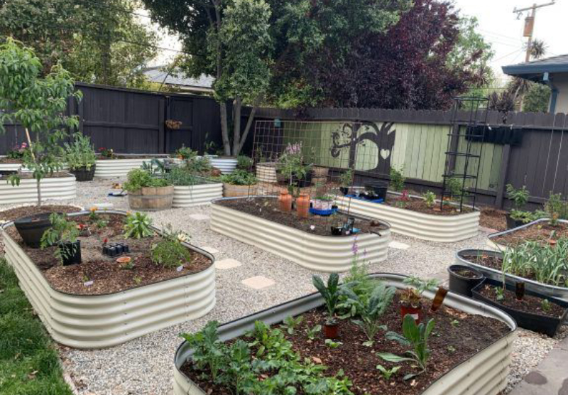 galvanized raised bed planter