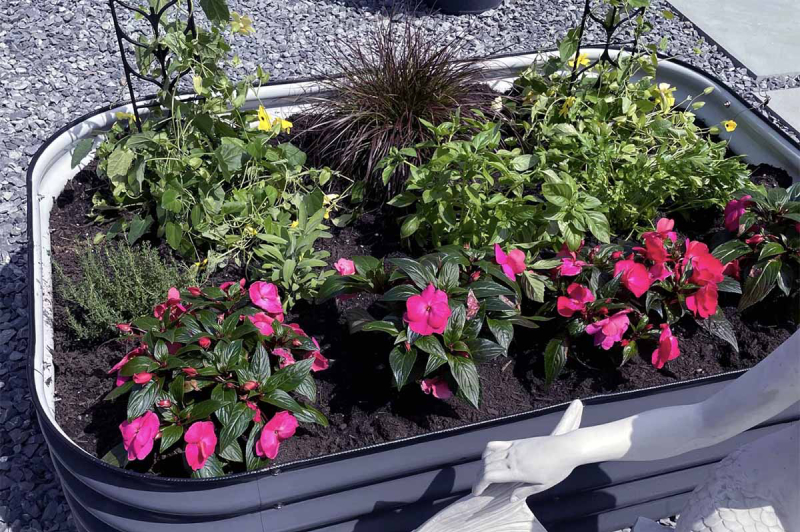 galvanized raised bed planter