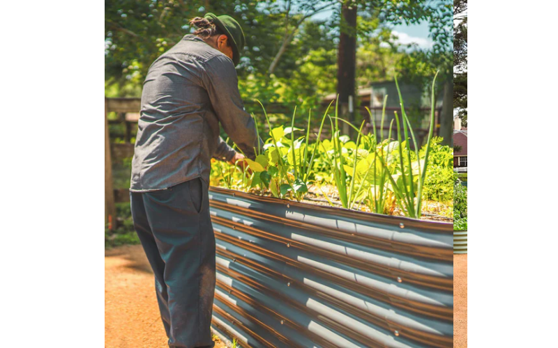 raised garden bed kit