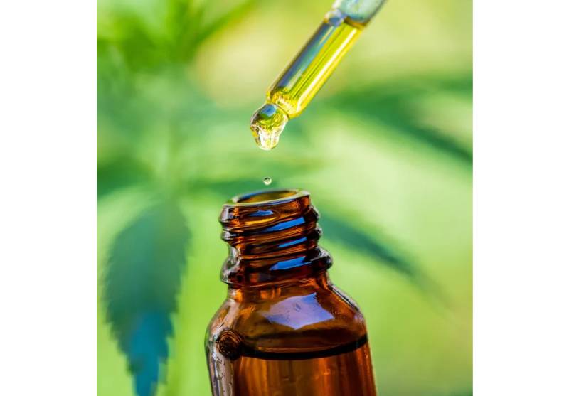 cbd for pets