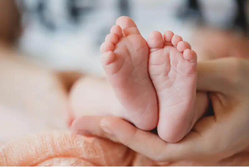 Egg donation san diego