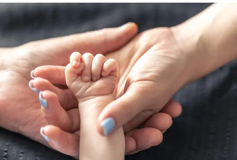 Egg donation san diego